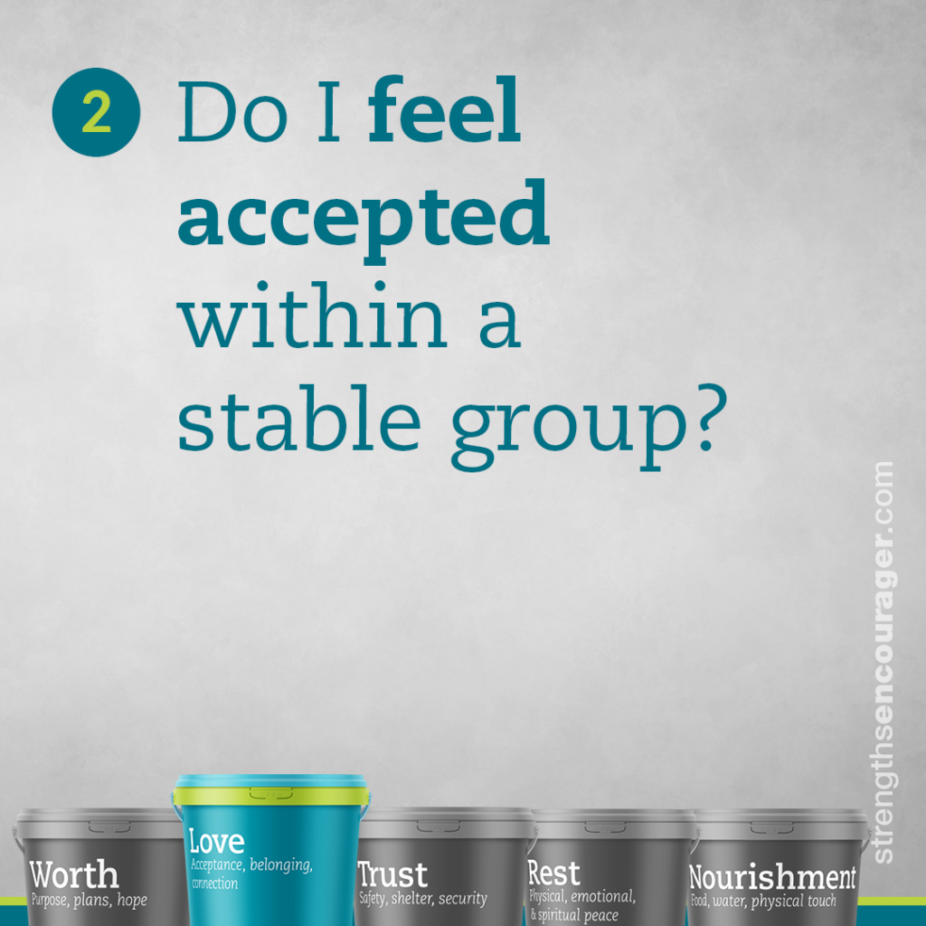 Do I feel accepted within a stable group?